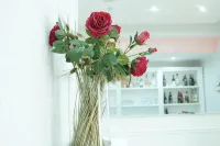 Bee Queen Hotel Hotels in Giugliano in Campania