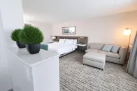 Hilton Garden Inn Des Moines Airport Hotels in Де-Мойн
