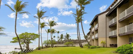 1 Bedroom Condo :: Oceanfront Resort Kapaa Shore