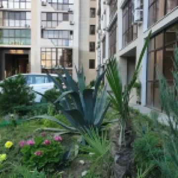 Rose Del Mare Apartments
