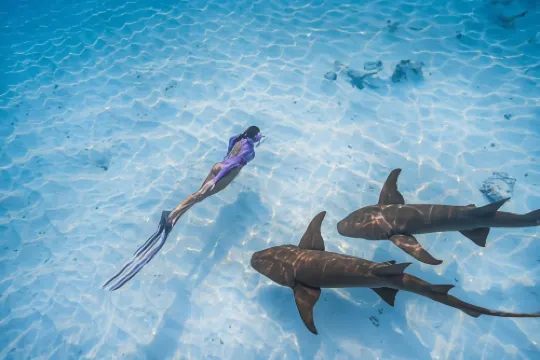 Fushifaru Maldives Photos