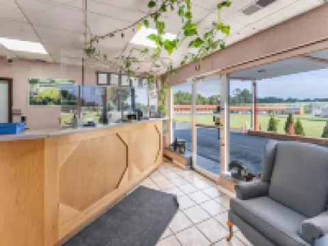 Budget Inn Pulaski Hotels in Pulaski