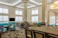 Comfort Inn & Suites Sarasota I75 - Wifi