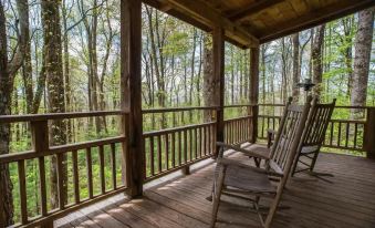 Cozy Guest Cabin Pet Friendly Secluded Peaceful