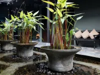 Centara Hotel Hat Yai Hoteles cerca de Mercado de Santisuk