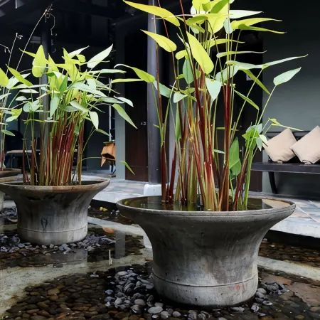 Centara Hotel Hat Yai