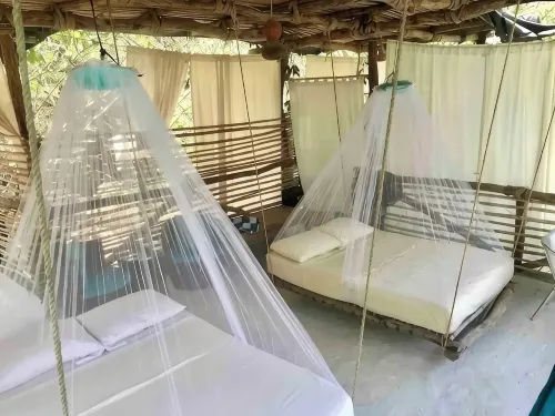 Tree house Pergola Swimming pool at a virgin beach