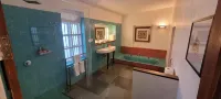 Purity at Lake Vembanad - badewanne