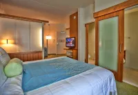 SpringHill Suites Tampa North/I-75 Tampa Palms