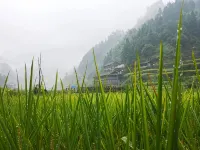 comfortableZhaoXing - Mountain View