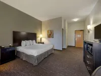 Best Western Plus Omaha Airport Inn - Wi-Fi