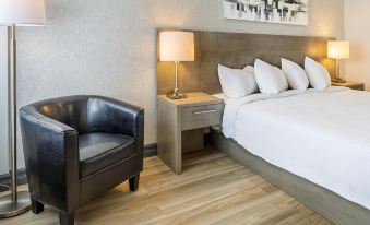 Repotel Levis
