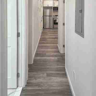 New 3 beds in Southie! W/D in unit. Others