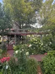 Tree house  lots birds  great location . ..... lots to do all summer long ......