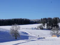 Apartment with fireplace on the Rennsteig in the Thuringian Forest 프리에드리치로다 호텔
