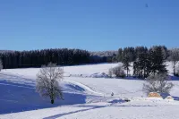 Apartment with fireplace on the Rennsteig in the Thuringian Forest