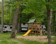 Tiny cabin in towering pines, with lake view. Pets accepted!