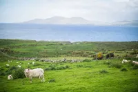 Luxury Seaside Cottage, Stunning Ocean Views, Waterville, Ring of Kerry
