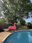 Private Pool–Renovated Home for Groups/Getaways - สระว่ายน้ำส่วนตัว