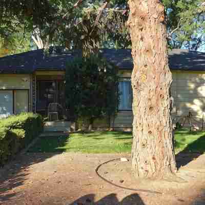 Charming house in quiet SW Reno neighborhood Hotel Exterior