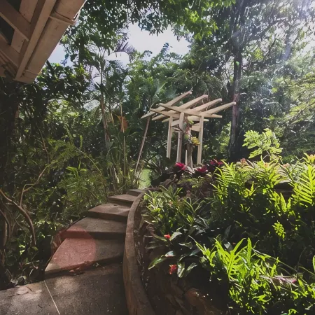 Secluded Hillside Cottage with Bay & Rainforest Views, Just 5 Mins to the Beach