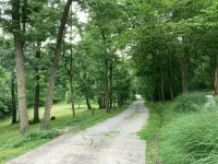 Beautiful lower level of house in nature with wildlife all around. - Alojamientos