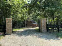 Pine Ridge Cabin House - Cozy Retreat In Woodland Setting With Hiking Trails - Boutique
