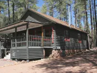 Cozy Cabin in the tall Pines! True mountain cabin vibes! Hotels in Pine