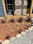 Quiet and secluded modern farmhouse 15 miles from the Buffalo River. - Wifi