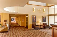 Ann Arbor Regent Hotel and Suites - Parkering