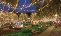 10 Min Walk to DT! Fire Pit-Pet Friendly! A True DT Retreat!