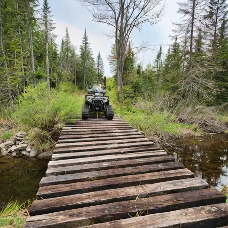 Week Discount. RV on 365 AC Parcel with 15 Mile Stream Running Thru the Property