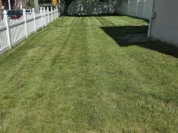 Family-Friendly 3-Bedroom/2.5-Bath House Near NYC and Fifa MetLife Stadium Hotels in Teaneck