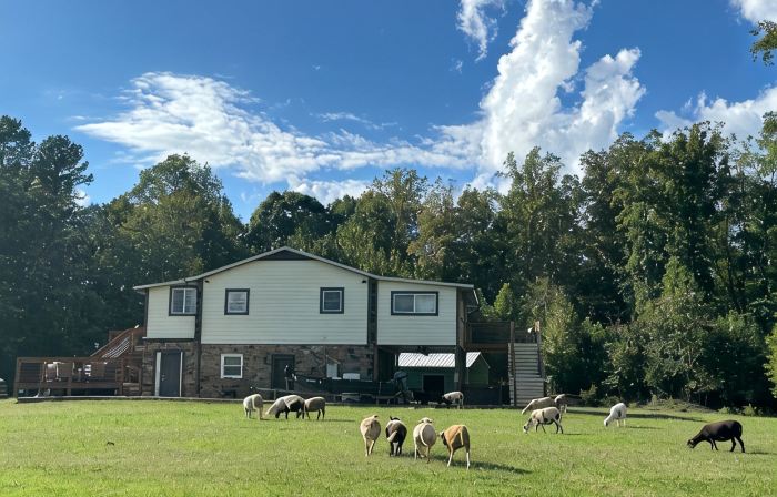 Lovely Farm Cabin Experience