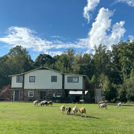 Lovely Farm Cabin Experience