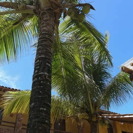 Pousada Água de Côco