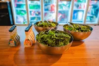 Tequila Sunrise Podstel - Hostels