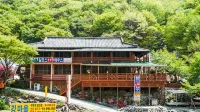 蔚山 ( ペネゴル ) アルプス 119 ペンション - ペンション