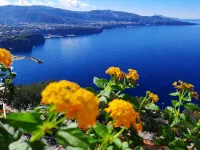 Bella Vista House Sorrento and Amalfi Coast - free parking-solarium - ห้องครัว