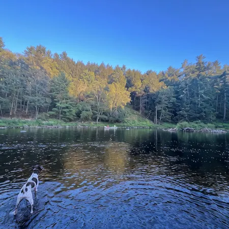 The Lehigh Cottage - Pocono Mountains get-away with gorgeous private waterfall!