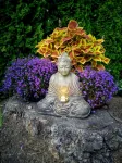 Studio Zen in Kirkland