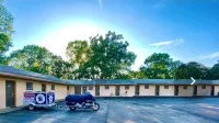 Hollywood Motel - Motel