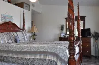 WATERFRONT Home  - Dolphins, Sunsets, Fishing, Kayaks, Canoe, Wildlife - 3-Star