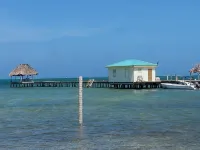 MaFlo Arms Apartments - Apartments