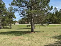 Remodeled Cottage close to ATV/Snowmobile Trails, and Ausable River - 3つ星