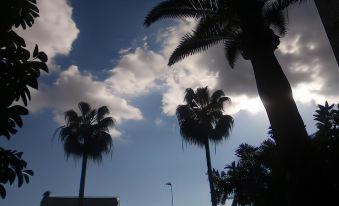 Hostal Corona - Housity