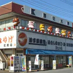 東京海灣廣場飯店