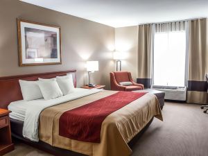 Comfort Inn Near Six Flags St Louis