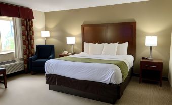 Comfort Inn Columbia-Bush River