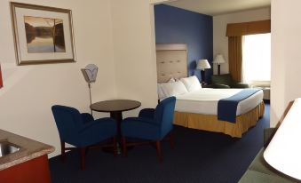 Holiday Inn Express & Suites New Buffalo, MI